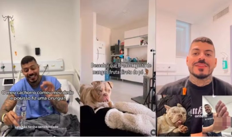 Influenciador diz que cachorro comeu o dedo dele e vdeo viraliza | FOLHAMAX