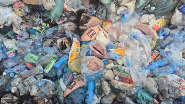 Procon apreende 600 kg de produtos em mercado: impróprios para consumo | RDNEWS