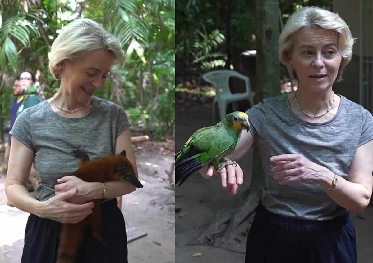 Em Belém para COP, Ursula von der Leyen segura quati e papagaio; VÍDEO