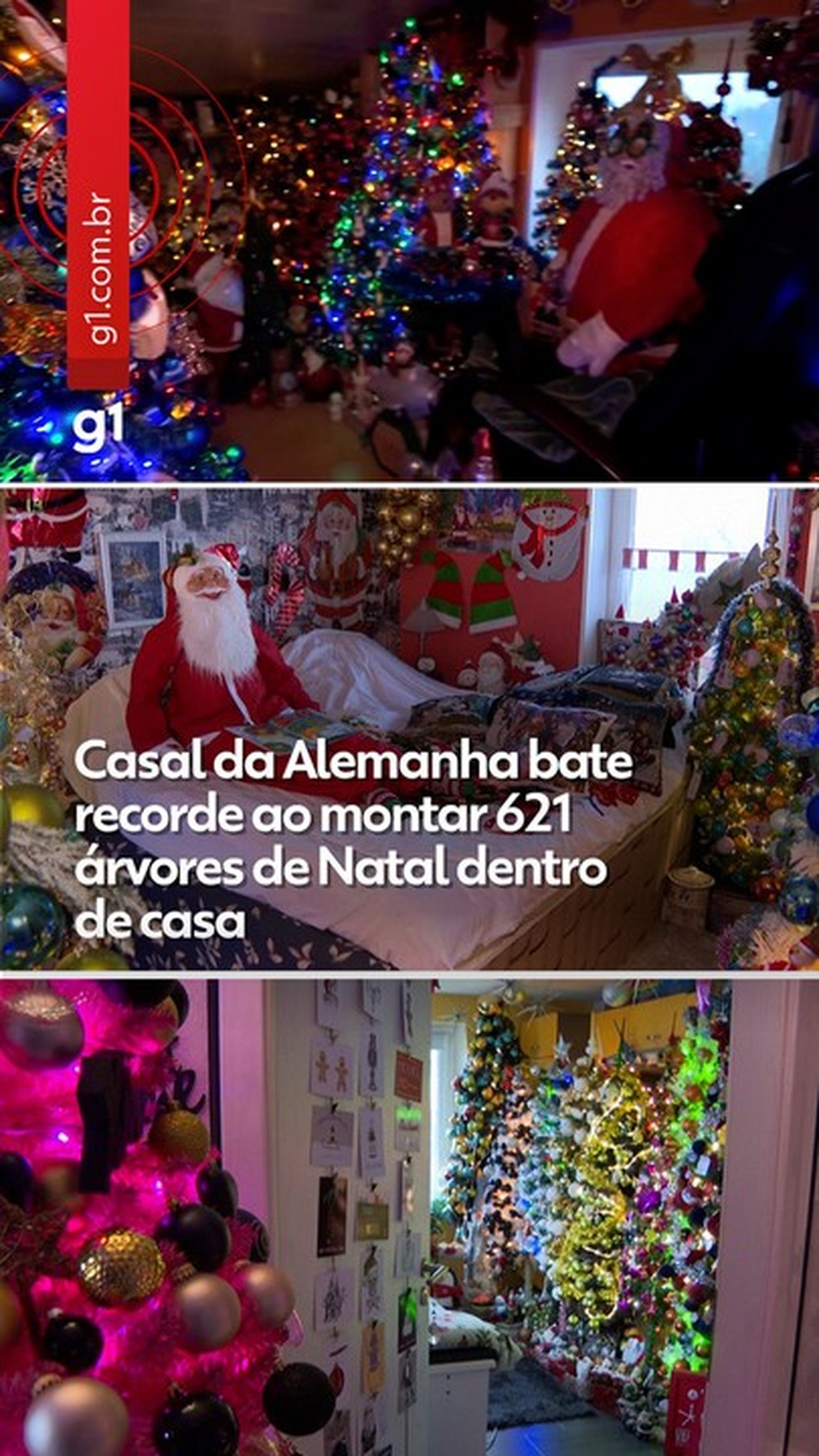 Casal da Alemanha bate recorde ao montar 621 árvores de Natal dentro de casa