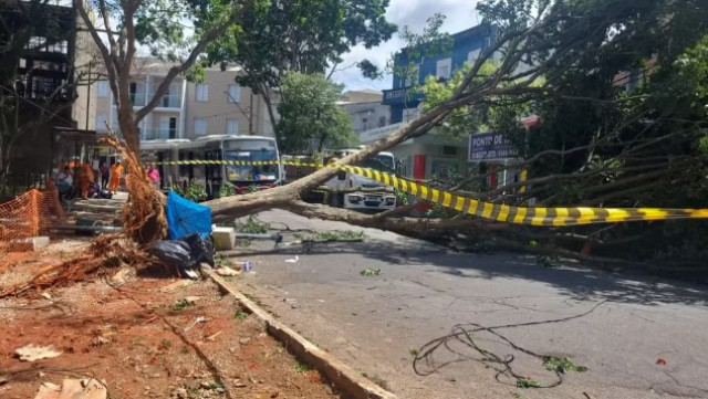 Grande SP amanhece com mais de 1,5 mi de imóveis sem luz após ventania | RDNEWS