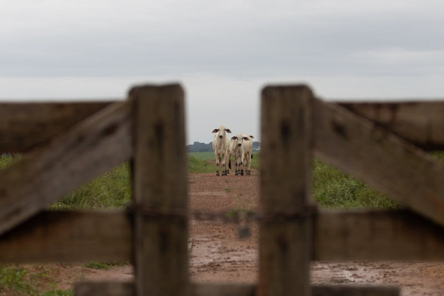 Isenção de IR impulsiona produtores de MT a investir fora da porteira | RDNEWS