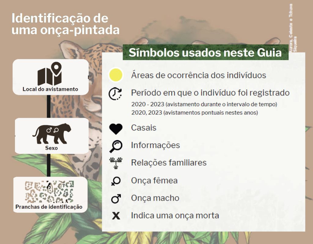 Guia das on�as pintadas do Sesc Pantanal