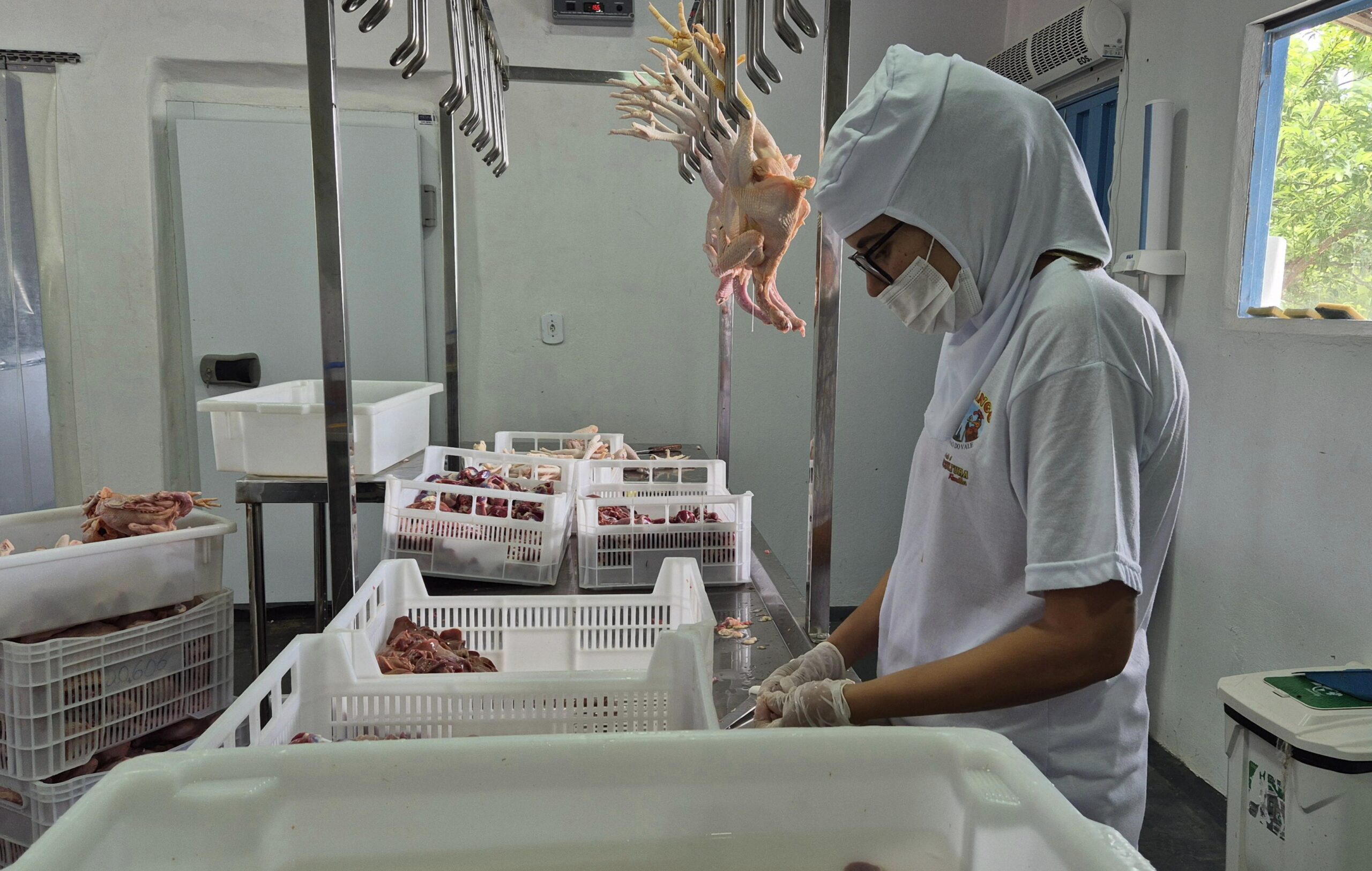 Barra do Garças inaugura primeiro abatedouro de frangos com certificação regional