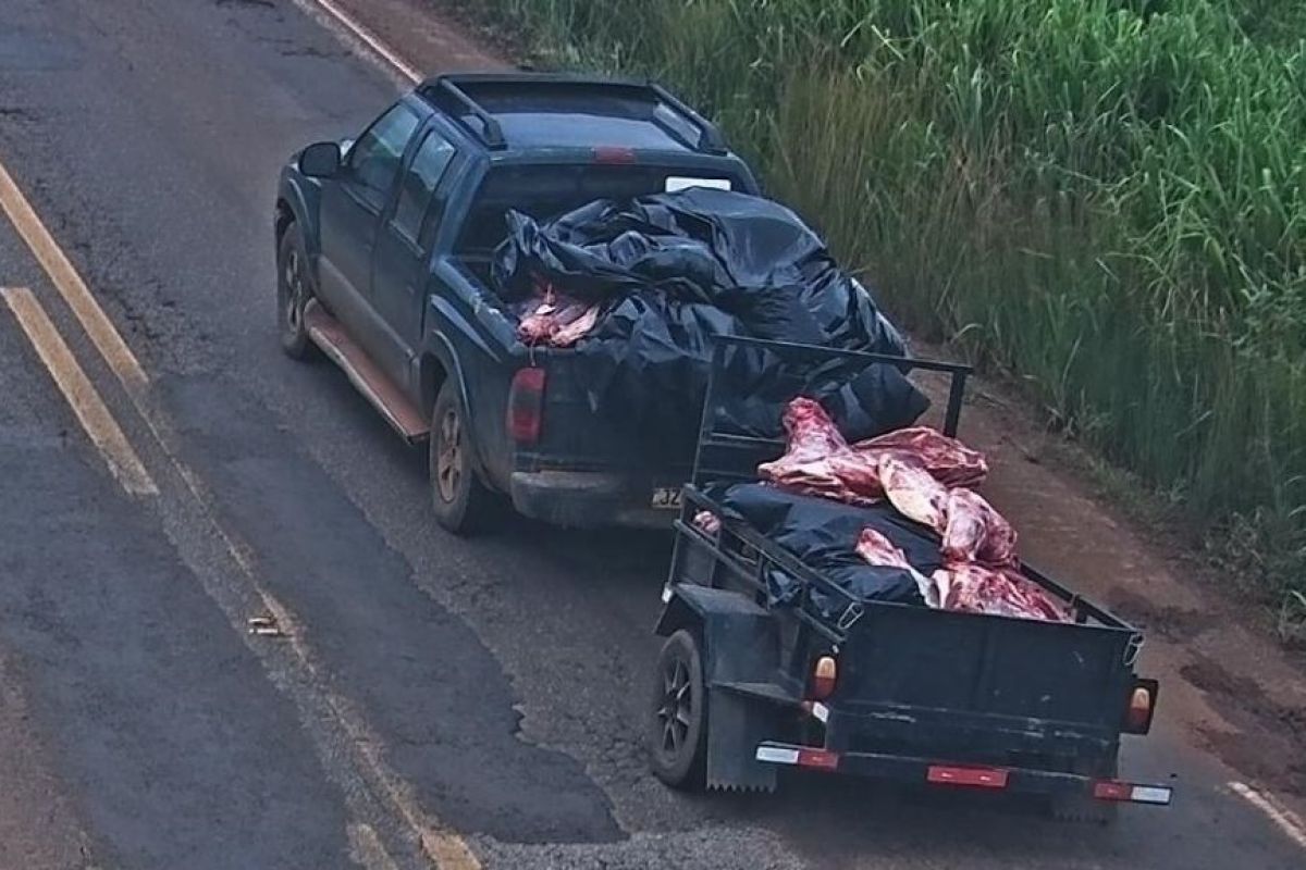 Polícia conduz 11 pessoas por saquear carga de carne na MT-235