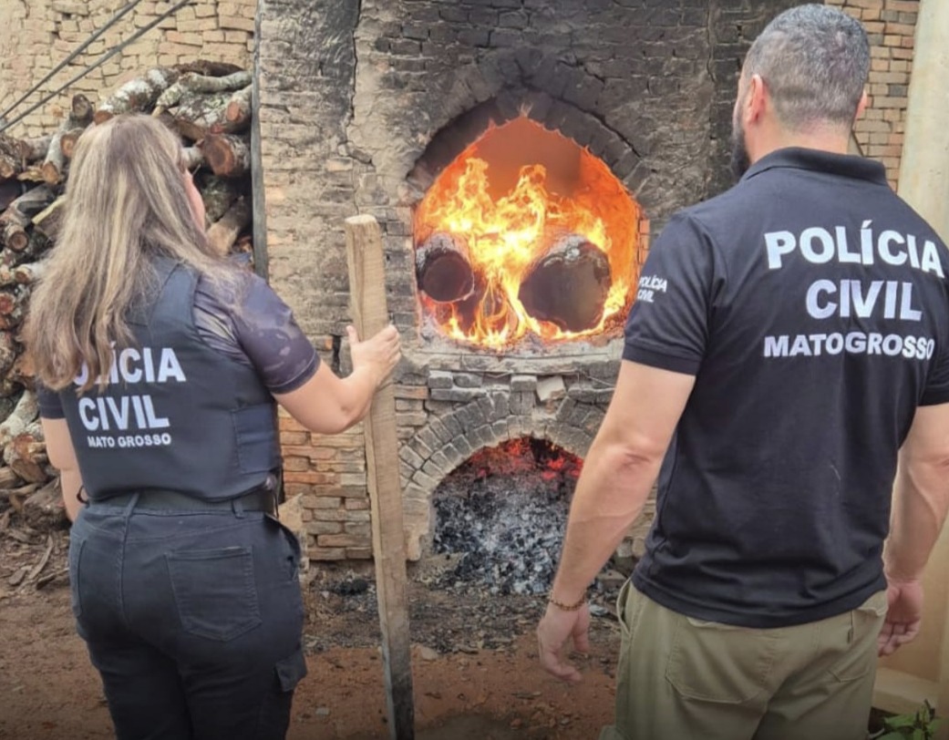 Polícia civil incinera 50 quilos de entorpecentes em Barra do Garças