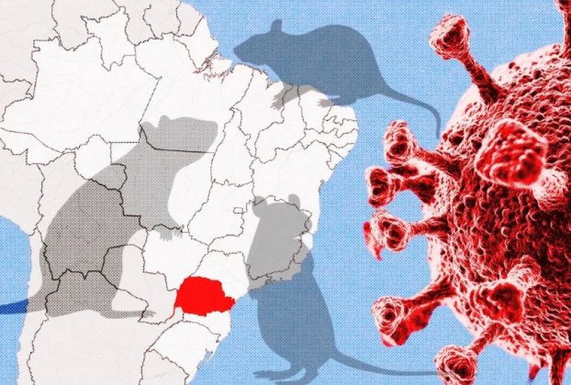 Paran confirma casos de hantavrus e investiga suspeitas | FOLHAMAX