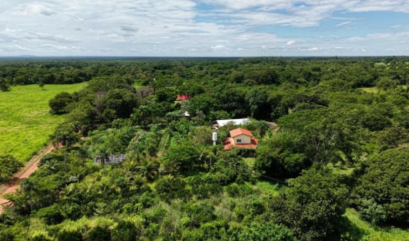 STF homologa Plano Estadual de Regularizao Ambiental | FOLHAMAX