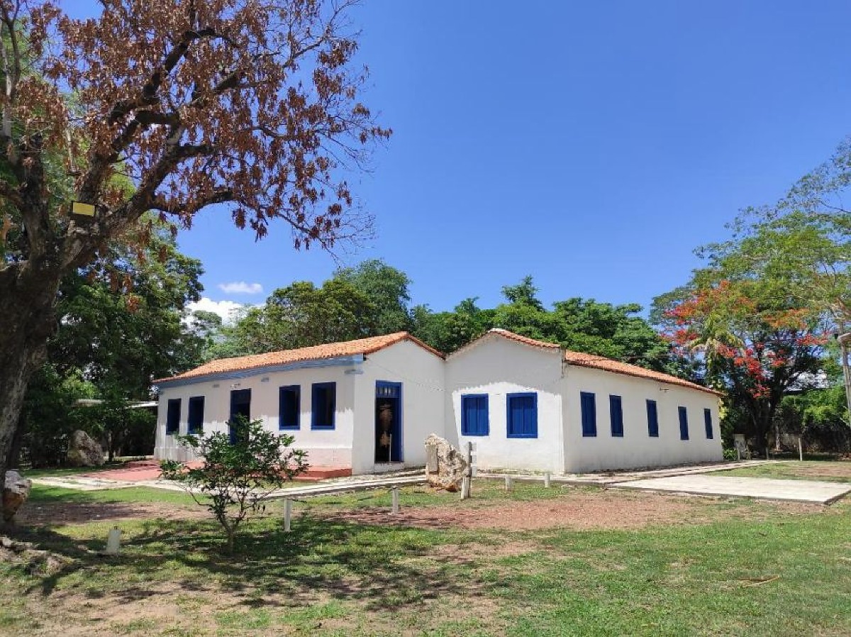 Museu de MT promove mês do Meio Ambiente com atrações gratuitas | Rdnews