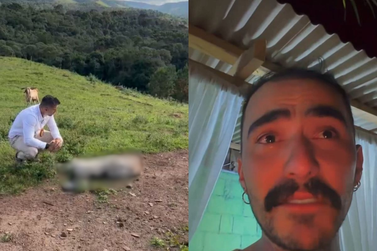 Caso Mayk Leão: polícia investiga morte de cabra do influenciador, violação de propriedade e ameaça