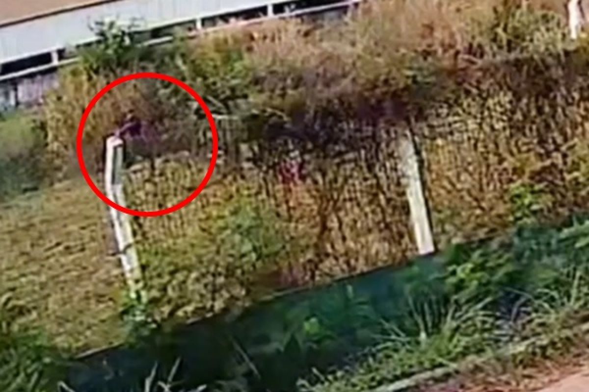 Vídeo mostra homem ateando fogo ao lado de policlínica em Cuiabá