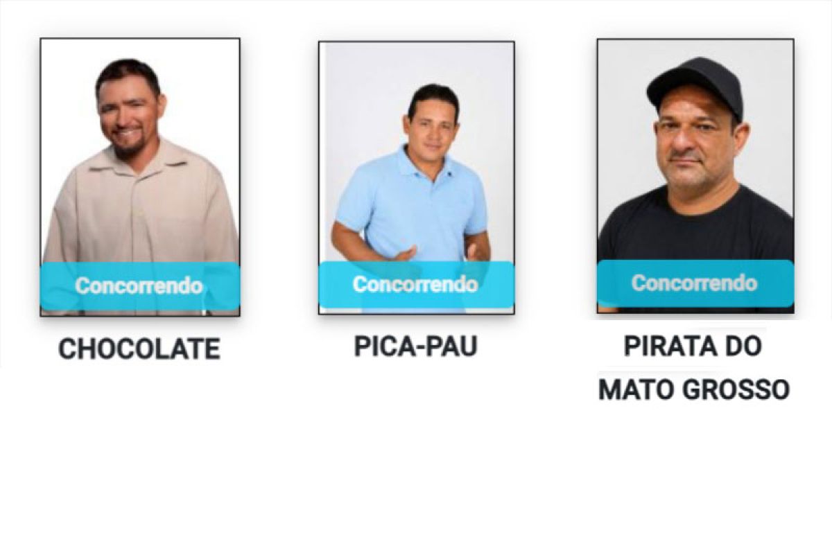 Chocolate, Pica-Pau e Pirata: veja nomes curiosos da eleição