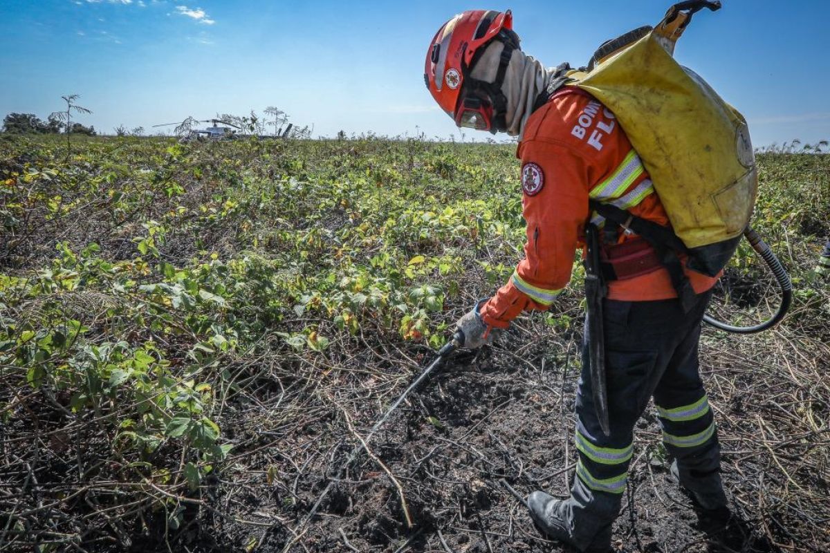 Corpo de Bombeiros combate 20 incêndios neste sábado em MT