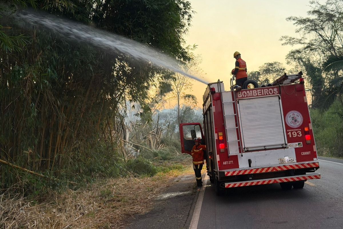 Corpo de Bombeiros extingue incêndio em área de bambuzal