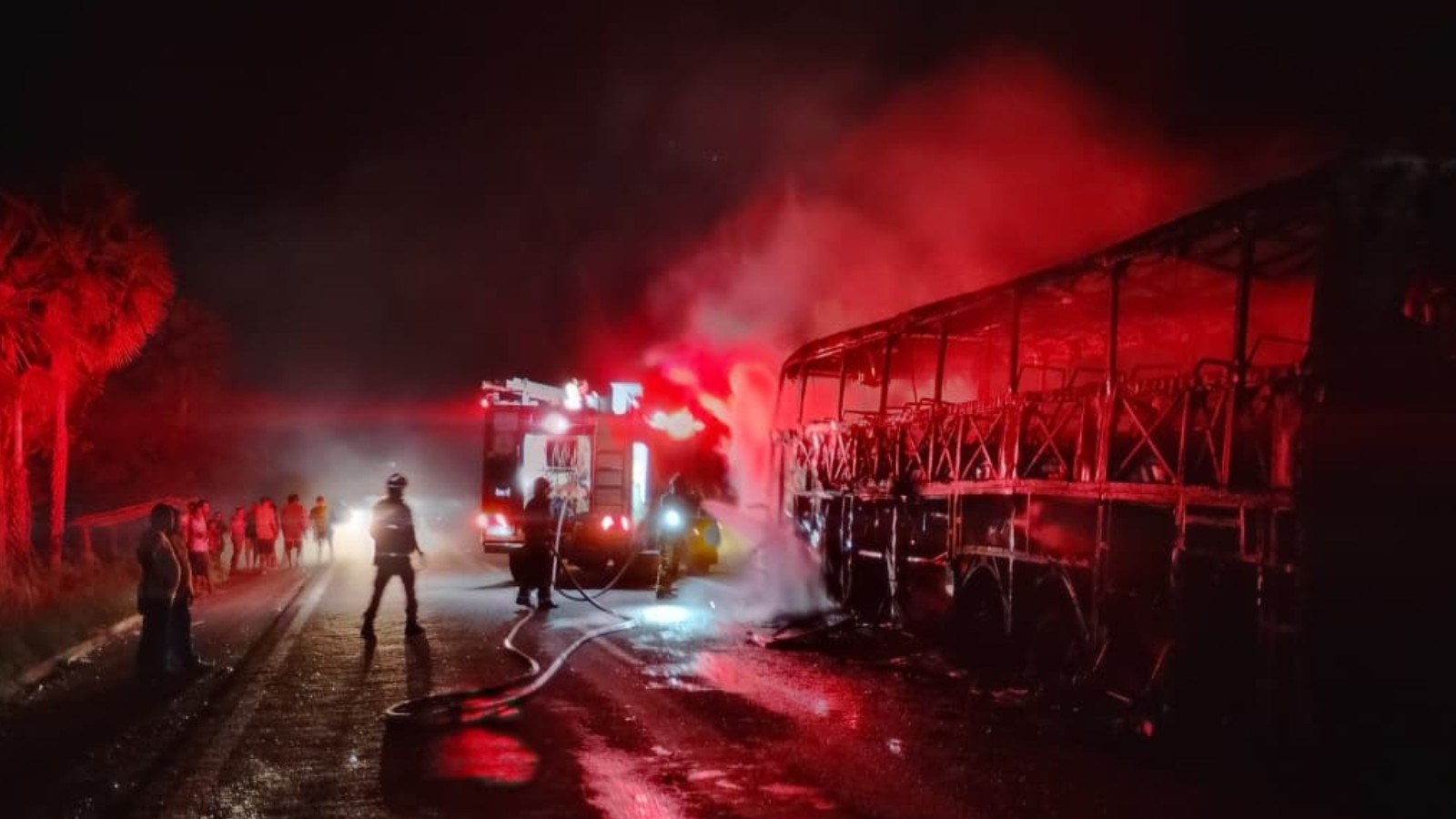 Ônibus de turismo pega fogo em trecho da BR-343, no PI; veículo sofreu perda total