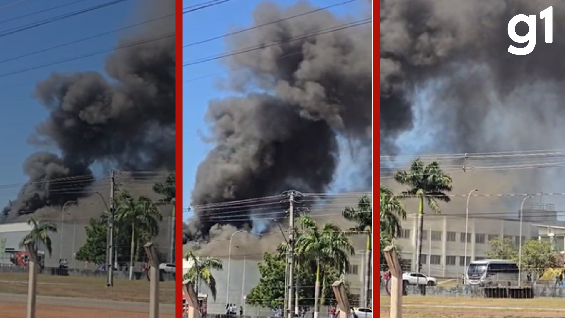 MT: incêndio atinge biblioteca e almoxarifado de IFMT em Alta Floresta