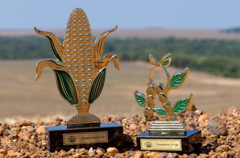 Confira lista de classificados em MT | FOLHAMAX