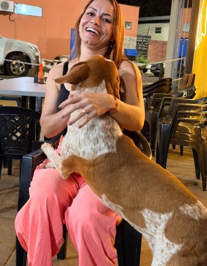 Ex-candidata e protetora de animais acusada de maus-tratos e processa dois por calnia | FOLHAMAX