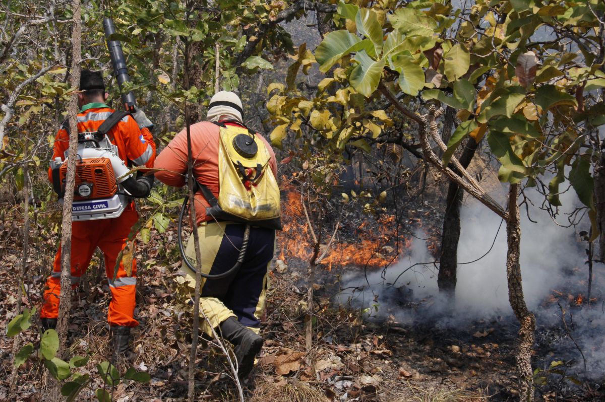 Cuiabá registra queda nos incêndios em vegetação entre janeiro e agosto