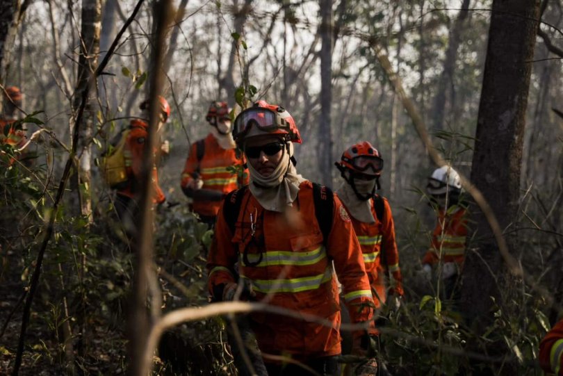 Corpo de Bombeiros combate 3 incndios florestais neste domingo | FOLHAMAX