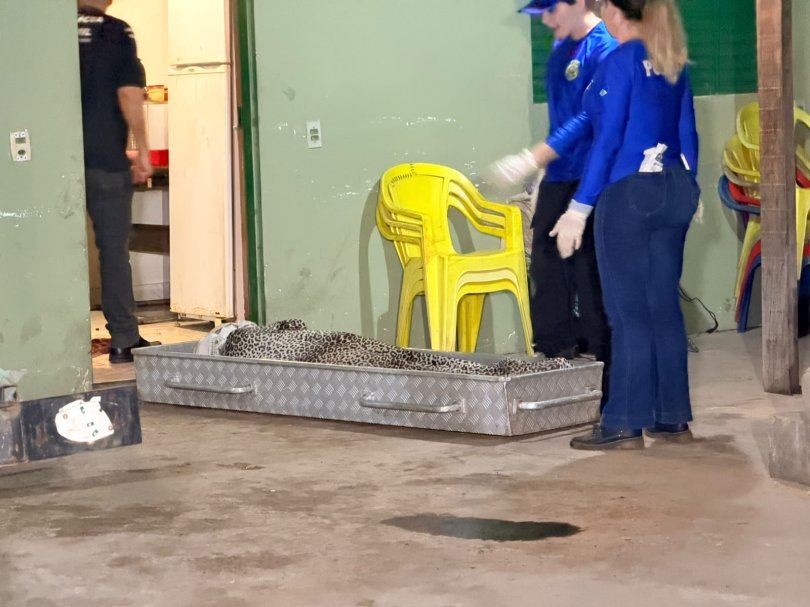 Pai encontra filho morto com cinco facadas dentro de casa em Cuiab | FOLHAMAX