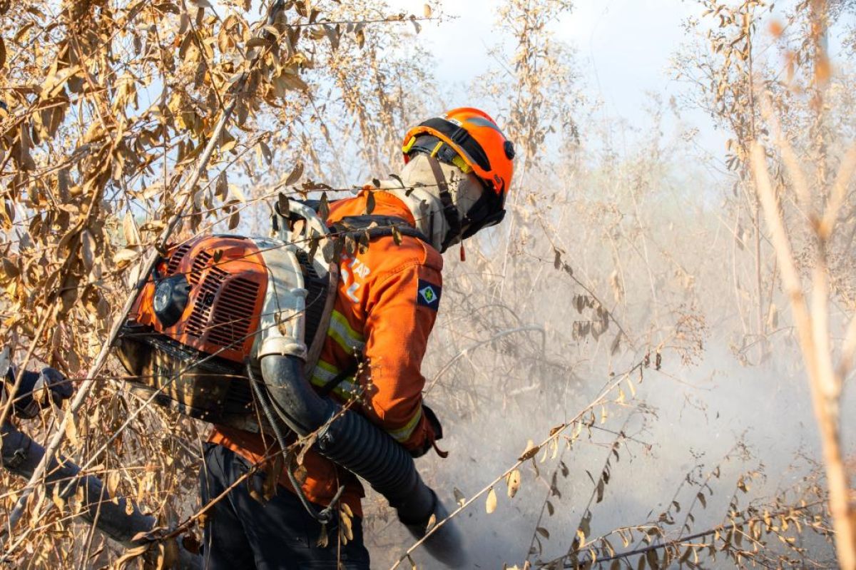 Corpo de Bombeiros combate seis incêndios florestais neste sábado (10)