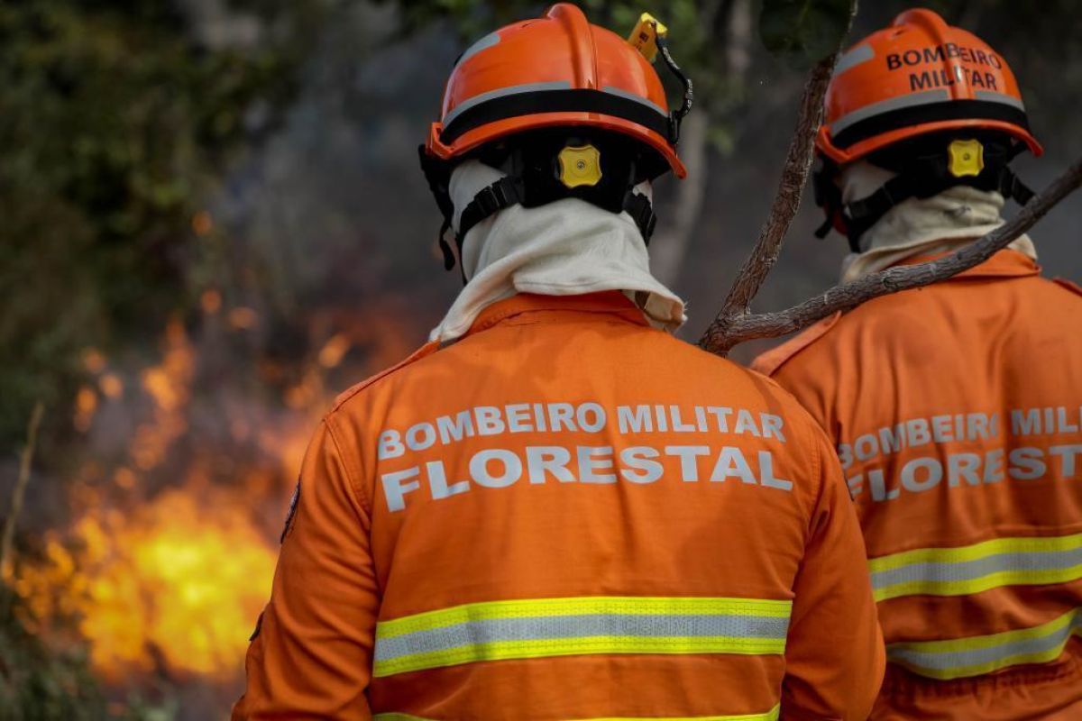 Corpo de Bombeiros combate um incêndio florestal nesta quarta-feira (7)