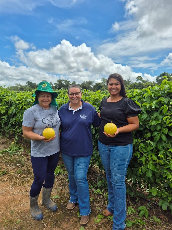 Agricultora inicia cultivo inédito de maracujá em município de MT  | Rdnews