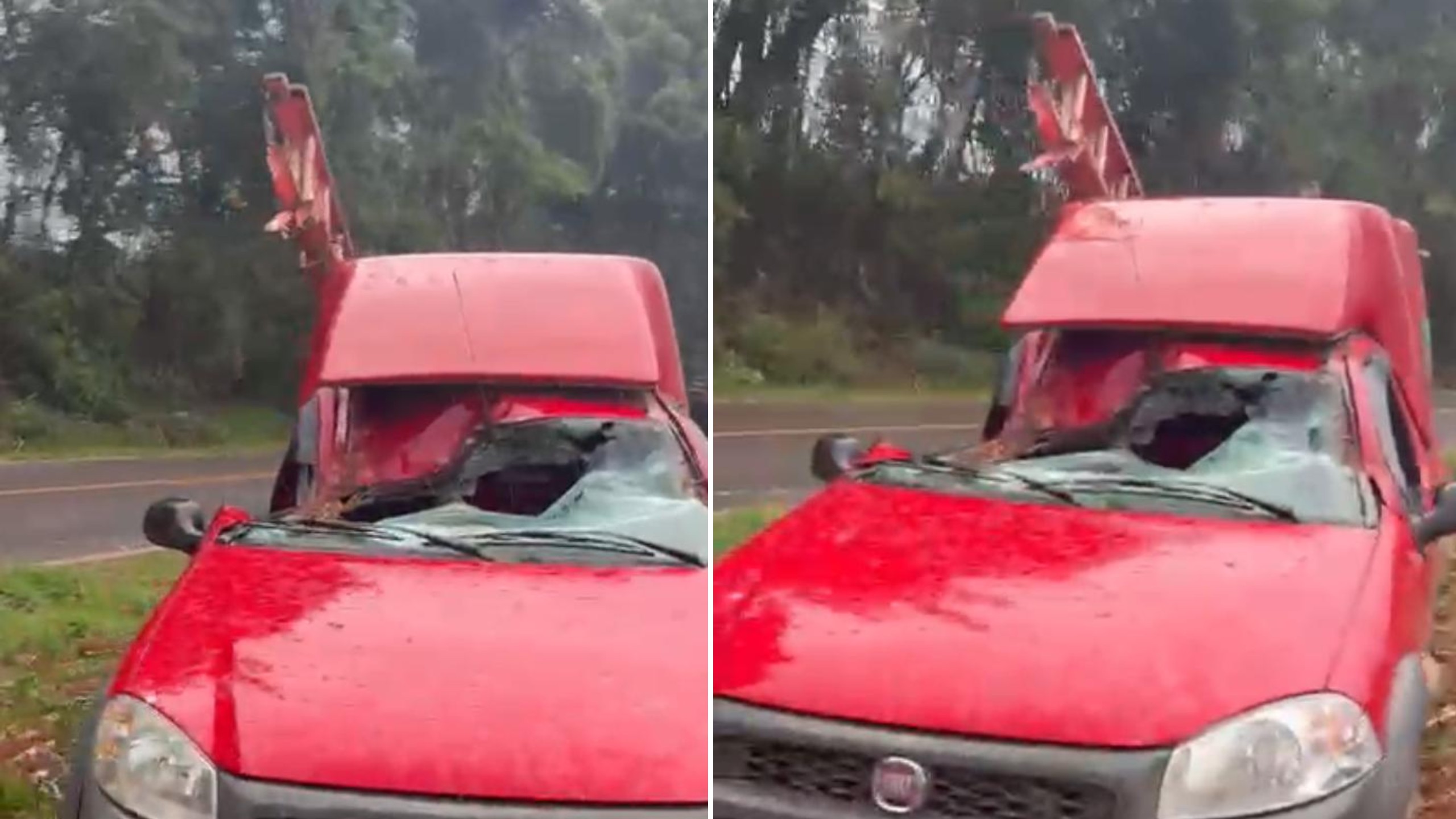 Passageiro de carro sobrevive após árvore cair em cima do banco dele durante tempestade no Paraná